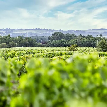 Loft Equipe Au Coeur D'un Domaine Viticole Apartament Campsas