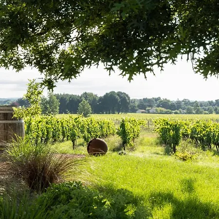 Loft Equipe Au Coeur D'un Domaine Viticole 아파트