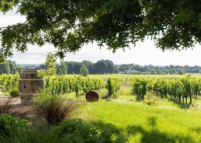 Loft équipé Au Cœur D'un Domaine Viticole Appartement