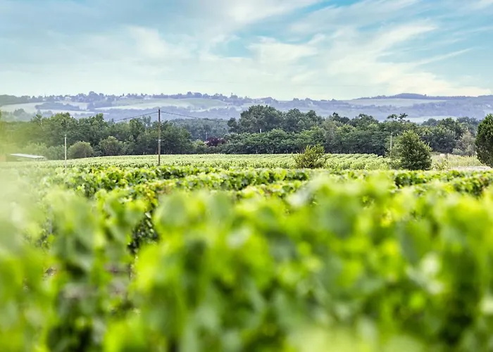 Loft équipé Au Cœur D'un Domaine Viticole Appartement Campsas